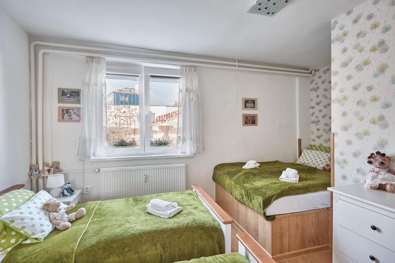 Apartment U Medvidka Karlovy Vary Exterior photo